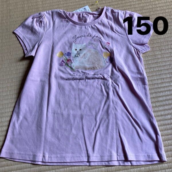 150cm tシャツ エニィファム 新品 トップス カットソー