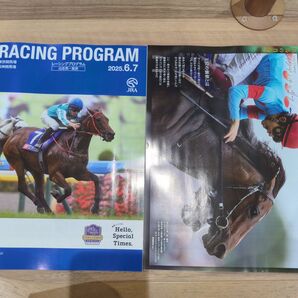 競馬 JRA 安田記念 土曜日版レーシングプログラム2冊 レープロ