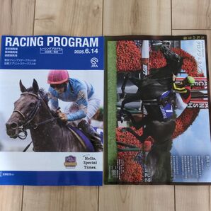 競馬 JRA 宝塚記念 土曜日版レーシングプログラム2冊 レープロ