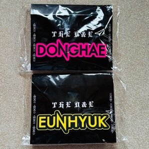 SUPERJUNIOR THE D&E ペンライト アクセサリー ドンヘ ウニョク
