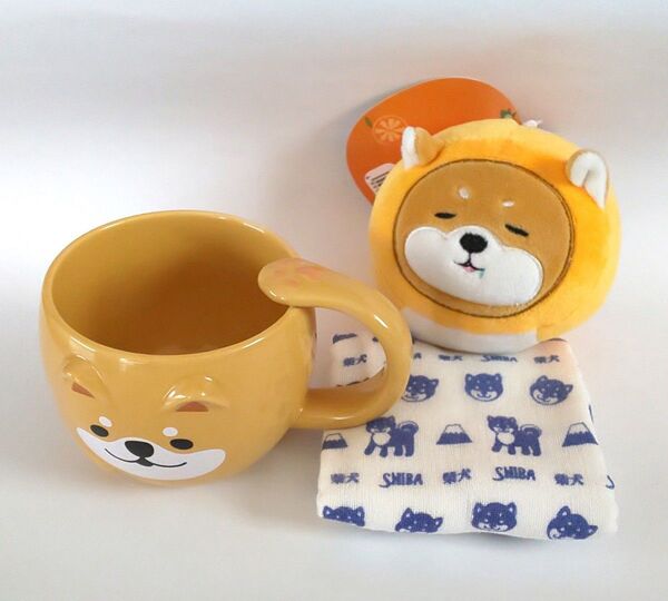 柴犬グッズ 3点セット マグカップ、 みかんしばずきん、ガーゼハンカチ 未使用品