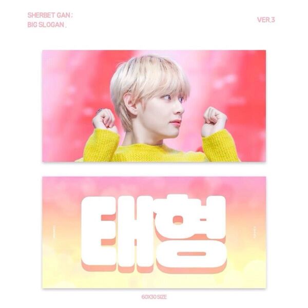 テテ テヒョン V TATA ビック スローガン セット グッズ BTS BT21 tinytan