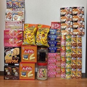 お菓子まとめ売り アルフォート カスタードケーキ トッポ キットカット ポテトフライ シルベーヌ ラングリー コアラのマーチセット