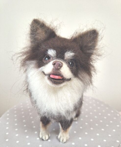 羊毛フェルト チョコタンチワワ 羊毛フェルト チワワ 犬