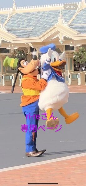 専用 ディズニーバラメモ、ロールシールバラおすそ分け