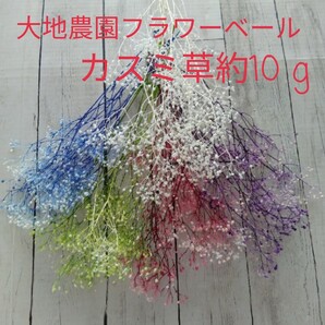 大地農園☆フラワーベールカスミ草☆約10g