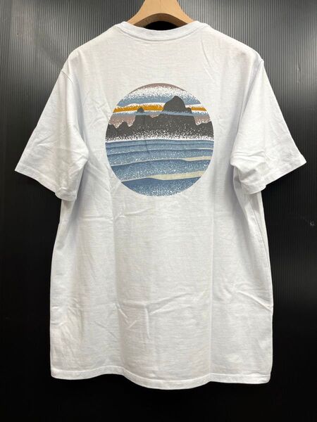patagonia パタゴニア Skyline Stencil Responsibili Tee スカイライン Tシャツ
