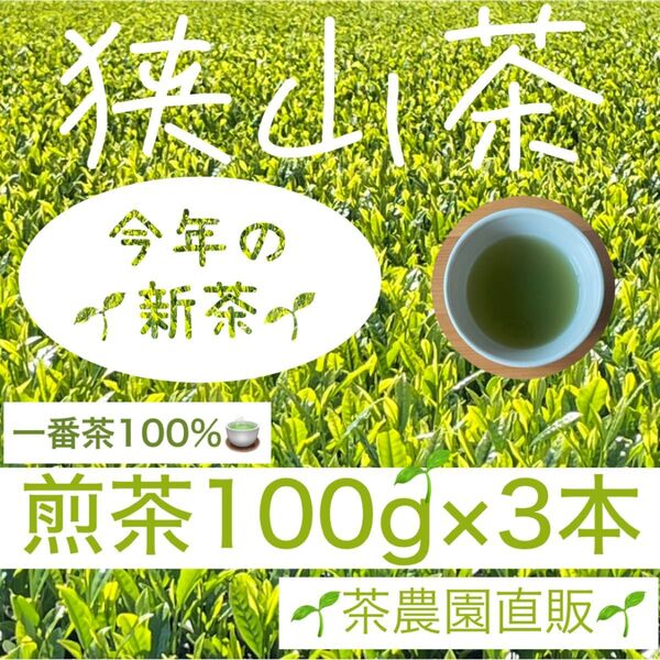 【新茶】☆狭山茶☆茶畑直販☆煎茶3本(令7年産)一番茶100%☆深蒸し茶 緑茶 日本茶 お茶 お茶の葉 茶葉 本年度産 2025