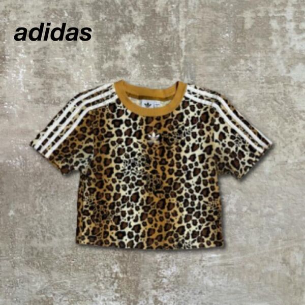adidasアディダスTシャツ半袖ブラウン茶ヒョウ柄Y2K短丈キッズ古着160
