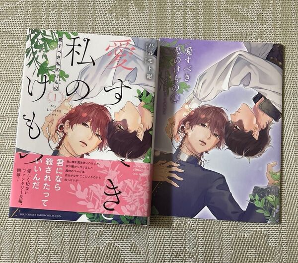 愛すべき私のけもの(1) ハルモト紺 アニメイトリーフレット付き