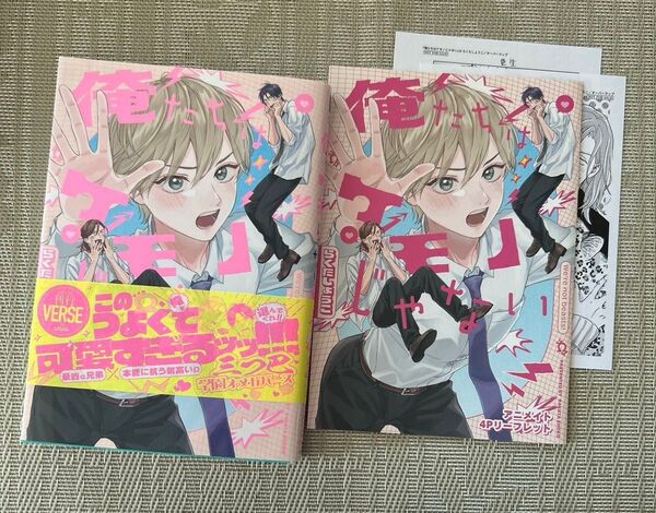 俺たちはケモノじゃない らくたしょうこ アニメイトリーフレット ペーパー付き