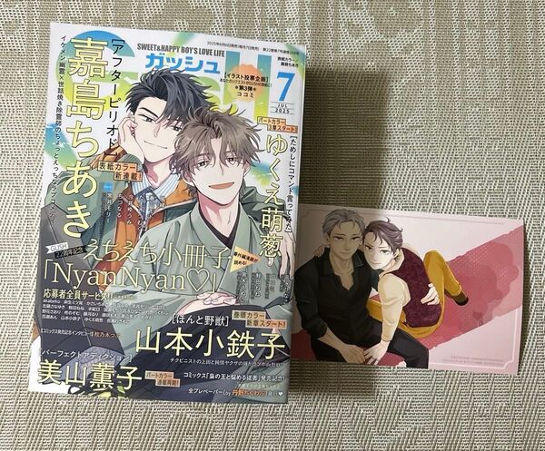 GUSH 2025年7月号 イラストカード付き