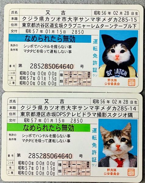 なめ猫免許証カード 2枚 ロ