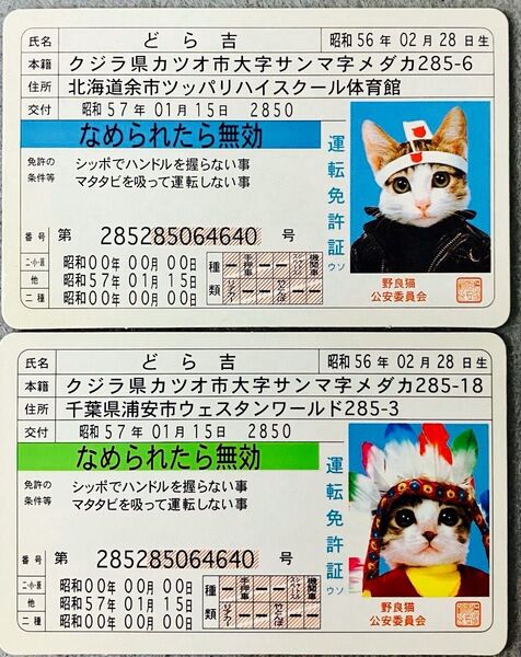 なめ猫免許証カード 2枚 ニ