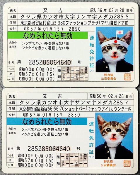 なめ猫免許証カード 2枚 チ