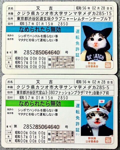 なめ猫免許証カード 2枚 ト
