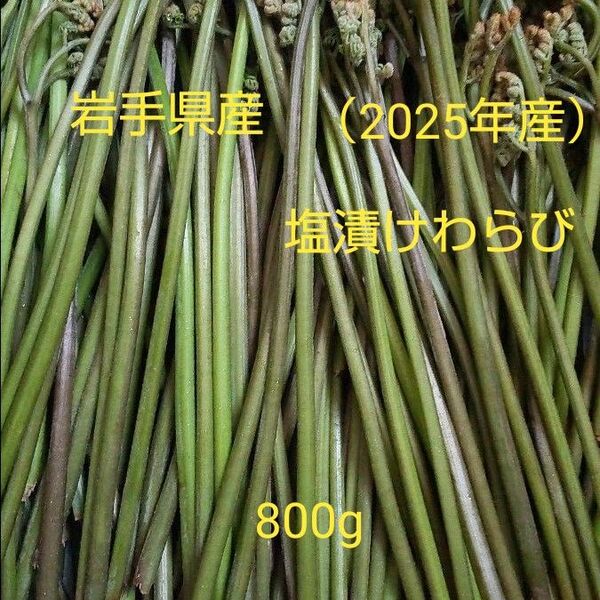 岩手県産塩漬けわらび