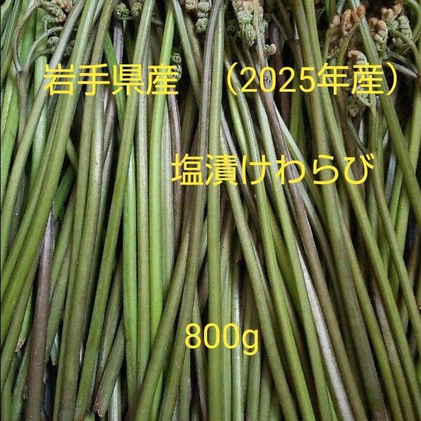 岩手県産塩漬けわらび