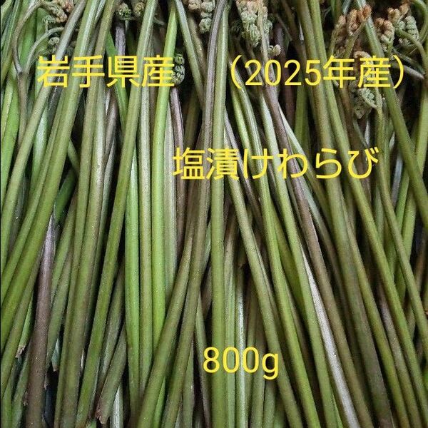 岩手県産塩漬けわらび