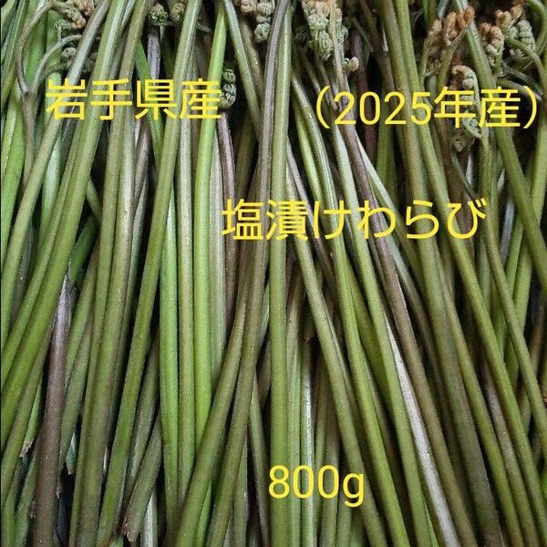 岩手県産塩漬けわらび