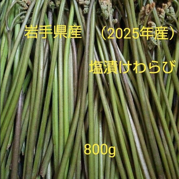 岩手県産塩漬けわらび