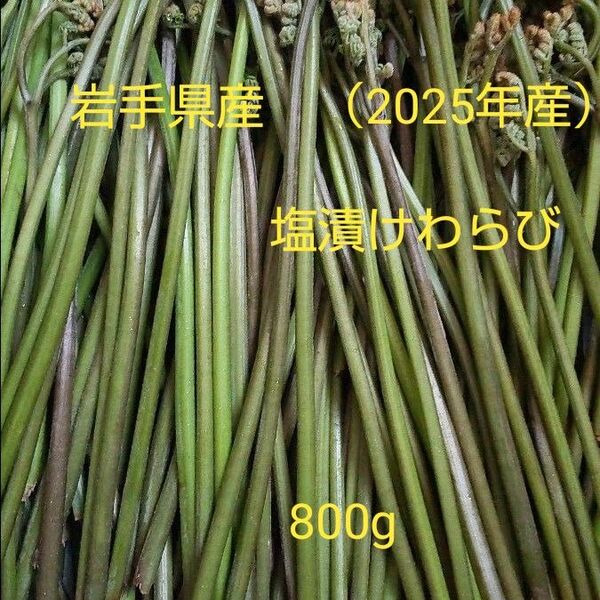 岩手県産塩漬けわらび