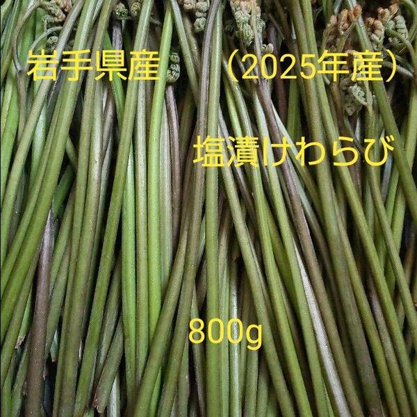 岩手県産塩漬けわらび