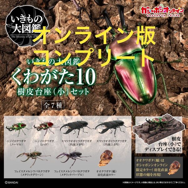 【オンライン版・コンプリート】いきもの大図鑑 くわがた10 樹皮台座(小)セット 全7種 ニジイロクワガタ フェイスタメルシワバネ