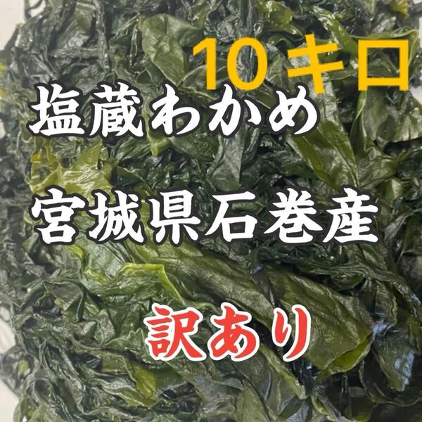 塩蔵わかめ 宮城県石巻産 わけあり