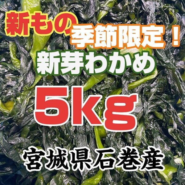 新芽わかめ 宮城県石巻産 新もの!