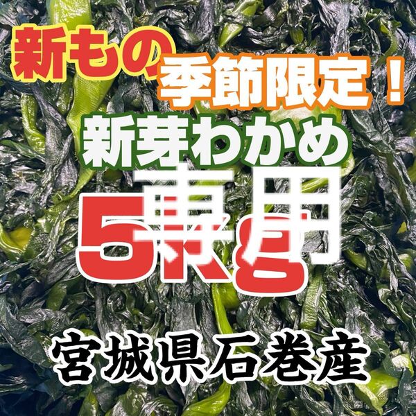 新芽わかめ 昆布の元