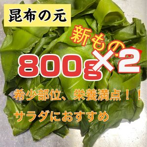昆布の元 2袋 宮城県石巻産 新もの!