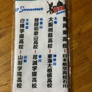2020年 高校野球タオル