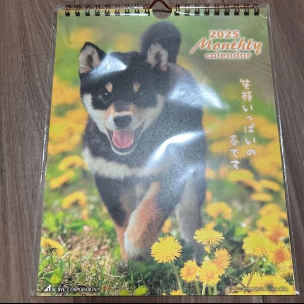 犬 カレンダー まとめ売り