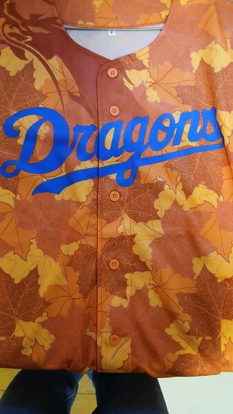 《昇竜2024》ドラゴンズ昇竜応援ユニフォーム★秋ver.★. 中日ドラゴンズ