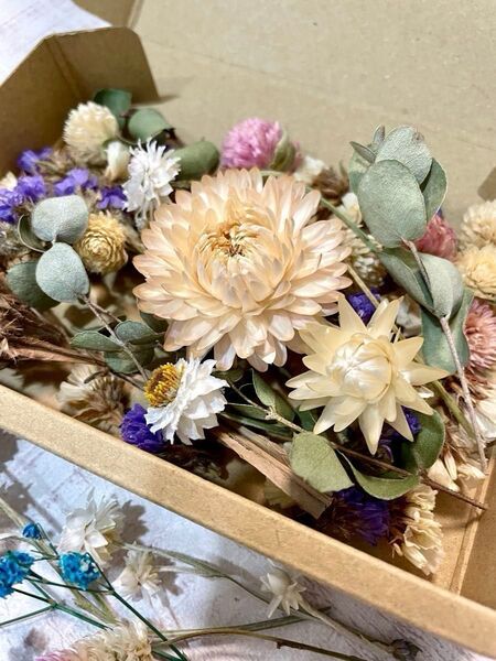 ドライフラワー 詰め合わせ セット 花材 ドライフラワー花材 ハーバリウム花材 ハンドメイド