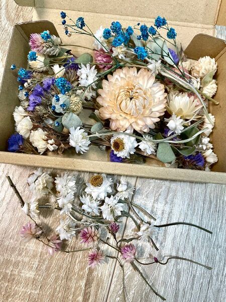 ドライフラワー 詰め合わせ セット 花材 ドライフラワー花材 ハーバリウム花材 ハンドメイド