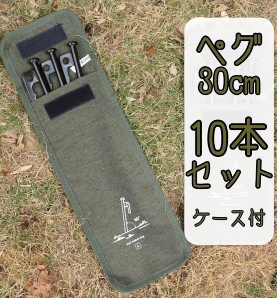 ペグ30cm 10本セット ペグケース付き アウトドア キャンプ テント