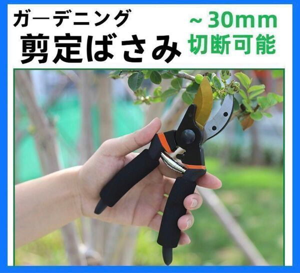 剪定 ばさみ 30mm切断可能 ハサミ 枝切り ガーデニング 園芸 庭木 植木