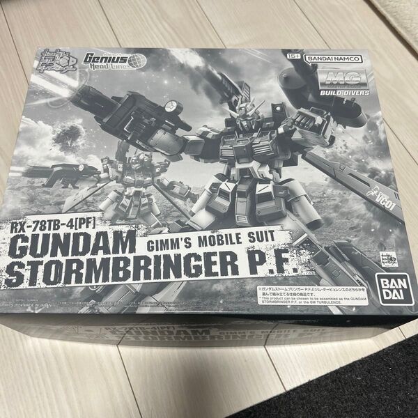 1/100 MG ガンダムストームブリンガー P.F. 「ガンダムビルドダイバーズ