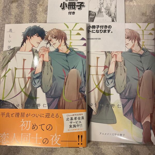 美しい彼5 アニメイト限定 特典小冊子付き 凪良ゆう / 北野仁 応募券なし!