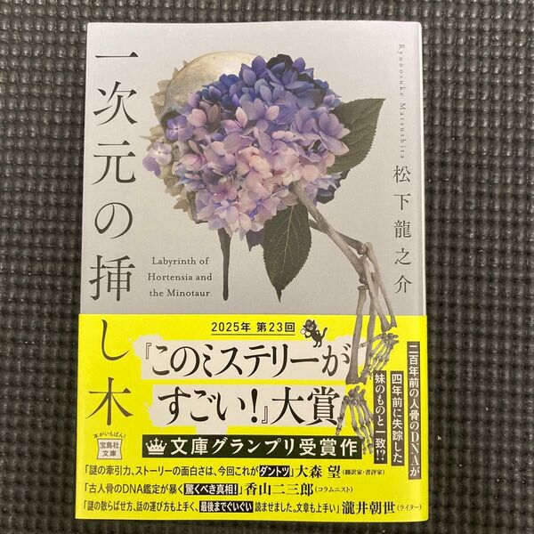 一次元の挿し木 (宝島社文庫 Cま-5-1 このミス大賞) 松下龍之介/著