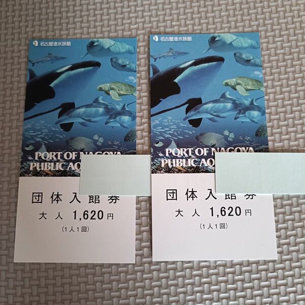 名古屋港水族館 入館券 チケット 大人 2枚 ペア 入場券
