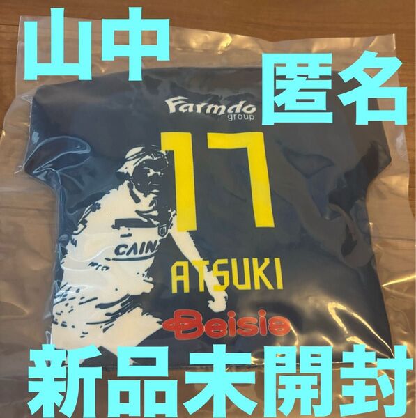新品未開封★ザスパ群馬 山中惇希 17 クッション 6/16 レノファ山口★ザスパクサツ ザスパ草津 細貝萌