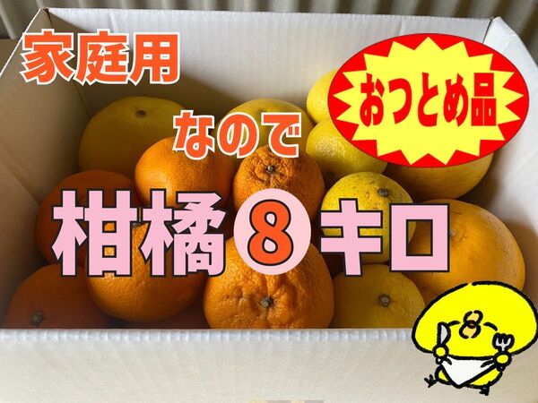 おつとめ柑橘《えひめ県産》