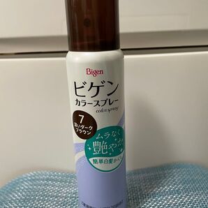 新品 ヘアカラー ビゲンカラースプレー 深いダークブラウン 毛染め