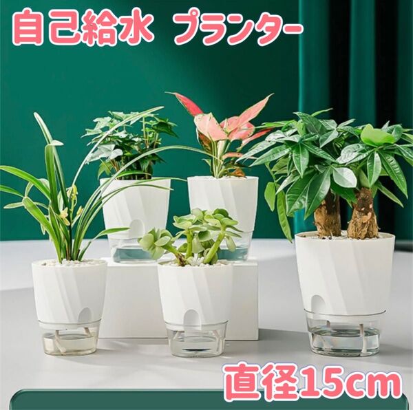植木鉢 自己給水 プランター ポット プラスチック製 水耕栽培 観葉植物 白 15cm