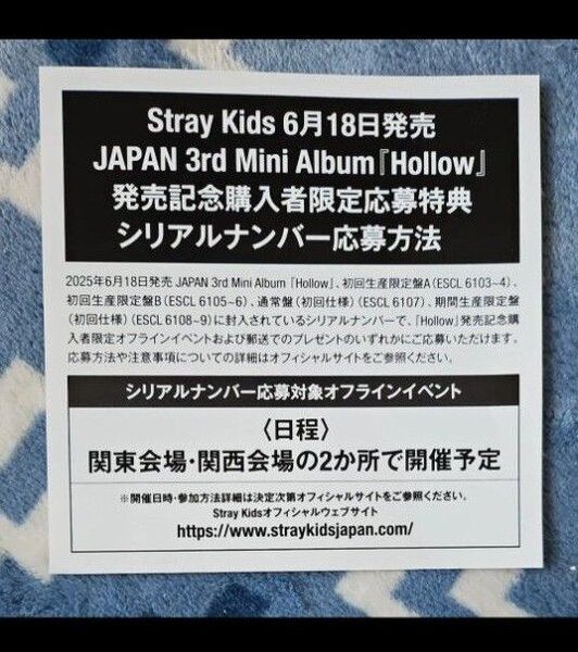 Stray Kids シリアルナンバー オフラインイベント5枚