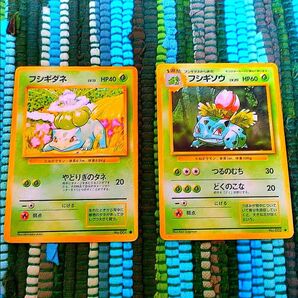 セール 希少旧裏面 初期販売 ポケモンカード フシギダネ フシギソウ