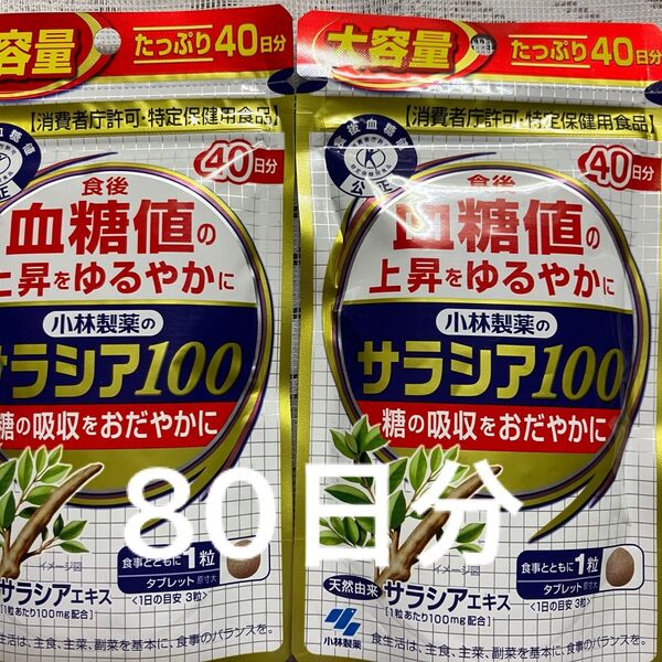 小林製薬 サラシア100 40日分× 2袋 80日分